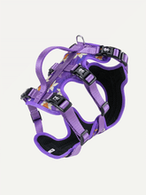 Full Coverage Dog Harness - Violet Butterfly Whispers